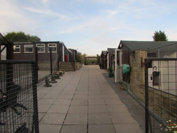 kennels-westfield-kennels-cattery